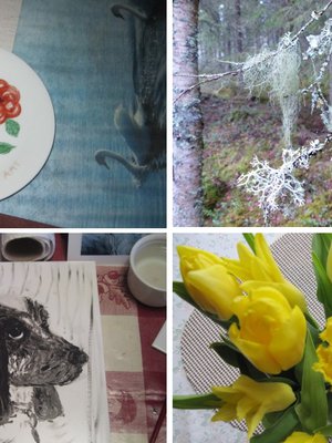 Mukavien asioiden kalenterissa voit jättää myös kuvan, joka on ilostuttanut. Nämä kuvat ovat etlehti.fin lukijoiden omia.