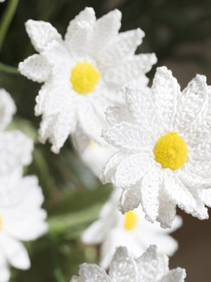 Hauskinta on uuden kukan aloitus, Anne Poropat sanoo.