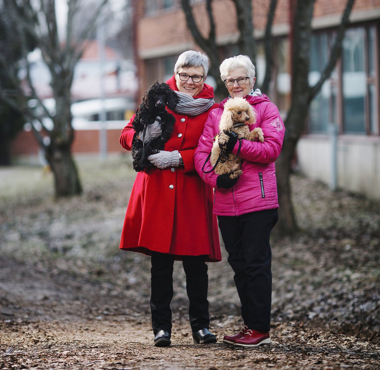 Tarjan (vas.) koirat Justus ja Iivari tietävät Puistolan parhaan kyläpaikan: Sirkan luo tietenkin.