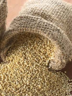 Kuva: <span class="photographer">123RF</span>