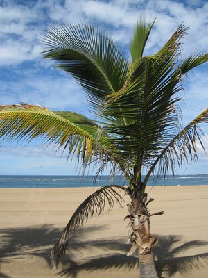 Gran Canaria on reissaajien kestosuosikki. Kuva on Las Palmasista.