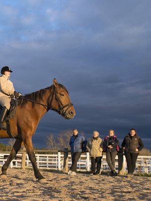 Pentti Petäjistö kuskaa usein vaimoaan Anitaa tallille. Tytär Kristiina ja tyttärentytär Janna katselevat Pentin ja Anitan lapsenlapsen Adan ratsastusta.