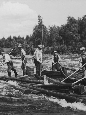 Kuva on elokuvasta Tukkijoella tapahtuu, 1950.
