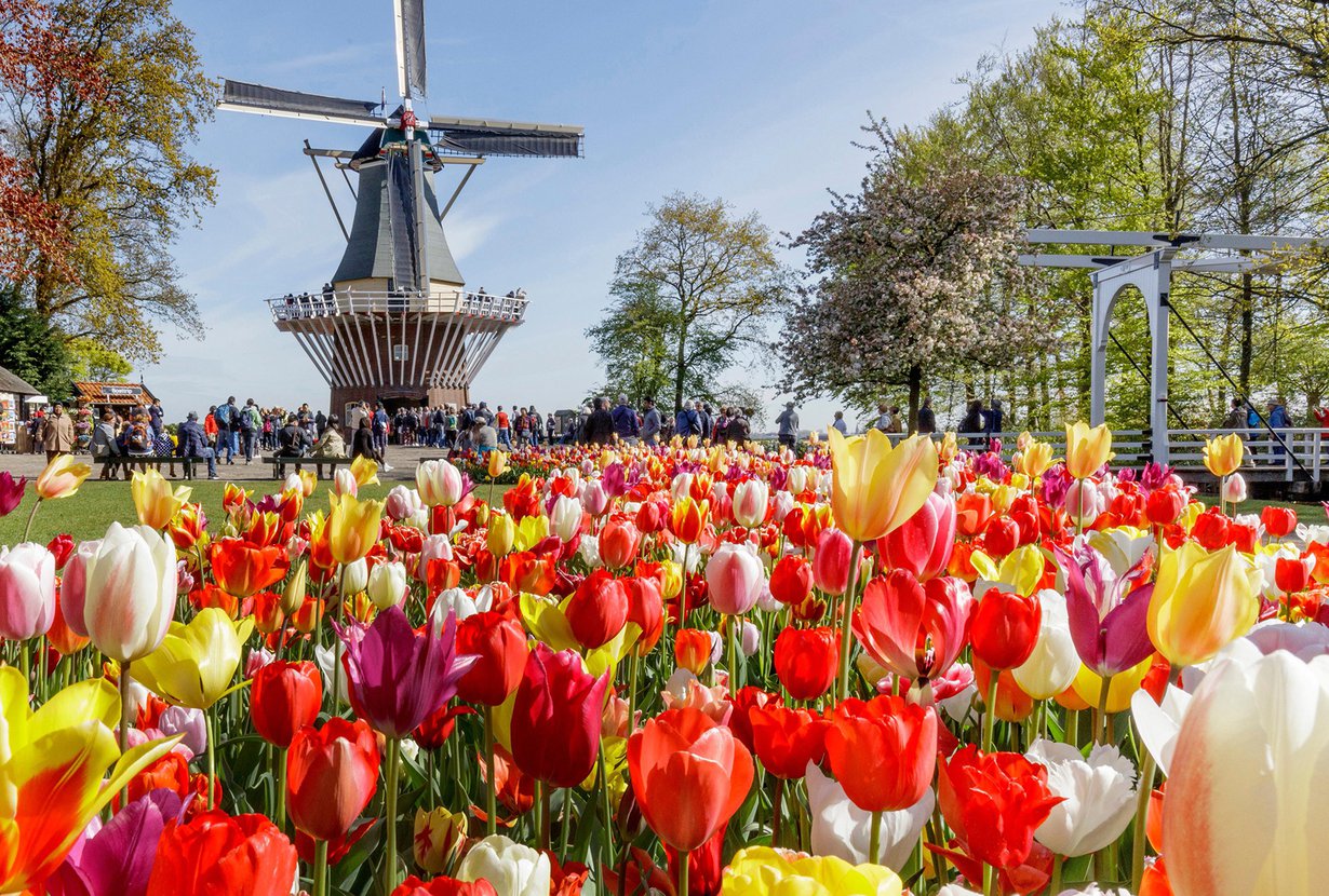 Keukenhof on puutarhoista kauneimpia.