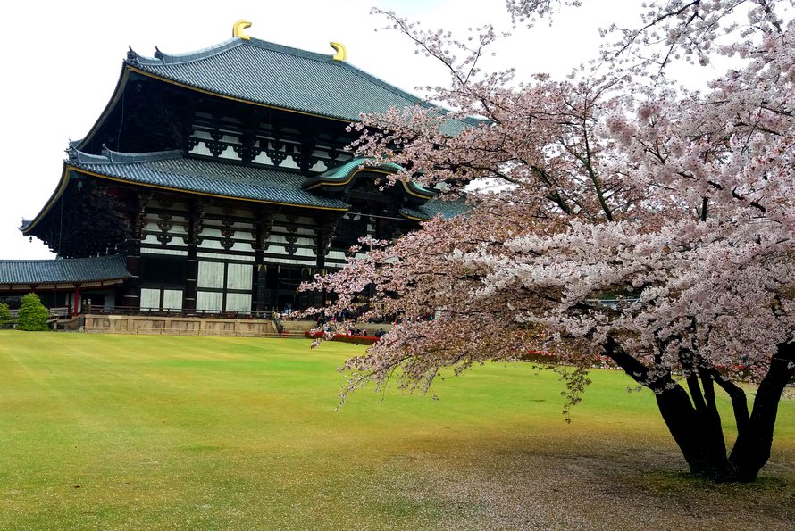 Todaiji-temppeli on yksi maailman suurimmista puurakennuksista.