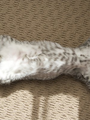 Kuva: <span class="photographer">Getty Images</span>