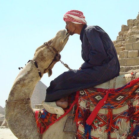 Yleisön suosikkikuvaksi äänestettiin Laura Kaissalon otos.