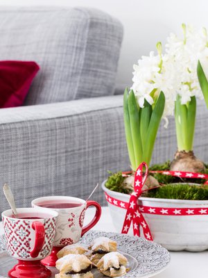 Hyasintit ovat joulukukkien aatelia. Kokoa useampi asetelma, saat joulun tuoksua joka huoneeseen.