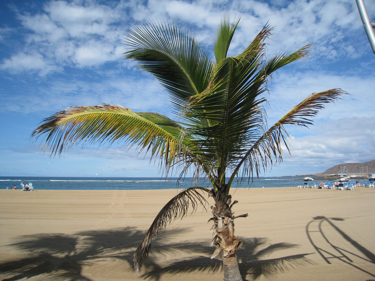 Gran Canaria on reissaajien kestosuosikki. Kuva on Las Palmasista.
