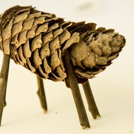 Kuva: Sanoma-arkisto