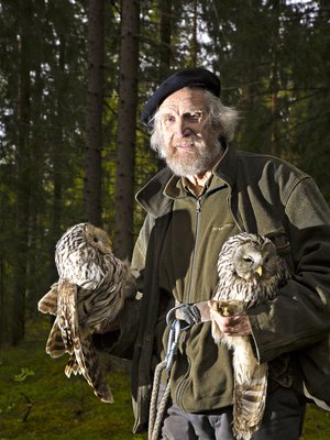 Petolintujen tutkija Pertti Saurolan oikeassa kainalossa on uuttera koiras, joka on lihottanut naaraansa munimiskuntoon ja kantaa päävastuun saalistuksesta myös poikasvaiheessa.