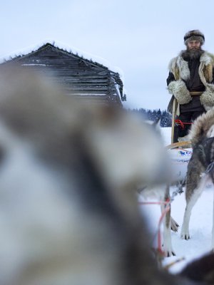 Huskysafari­yrittäjä Susi Nordman pukeutuu susi­turkkiin ja vetää retkiä Venäjän rajan tuntumassa.