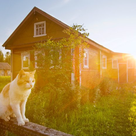 Kuittisen kyl&auml;ss&auml; Aunuksen Karjalassa on l&auml;mpin&auml; kes&auml;iltana jotain taianomaista, kuin lapsuudesta tuttua tunnelmaa. Ilmassa leijuu vieno saunanl&auml;mmityksen ja sireenien tuoksu. Vapaana kipitt&auml;v&auml;t koirakaverukset haukkua louskuttavat tienposkessa.