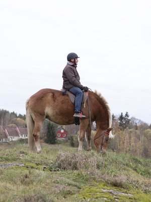 Kuvassa Heikki, joka kiipesi hevosen selkään ensimmäisen kerran yli nelikymppisenä.