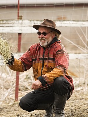 Maistuisiko heinä? Köpi-alpakka ottaa tuumaustauon.