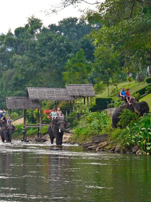Norsulla ratsastaminen tuntuu merenk&auml;ynnilt&auml;.