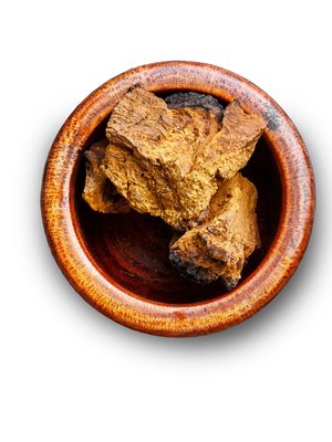 Pakurikääpä on lehtipuissa kasvava sieni. Kuivatusta käävästä tehtyä jauhetta käytetään juomien valmistamiseen.