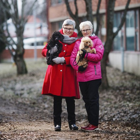 Tarjan (vas.) koirat Justus ja Iivari tietävät Puistolan parhaan kyläpaikan: Sirkan luo tietenkin.
